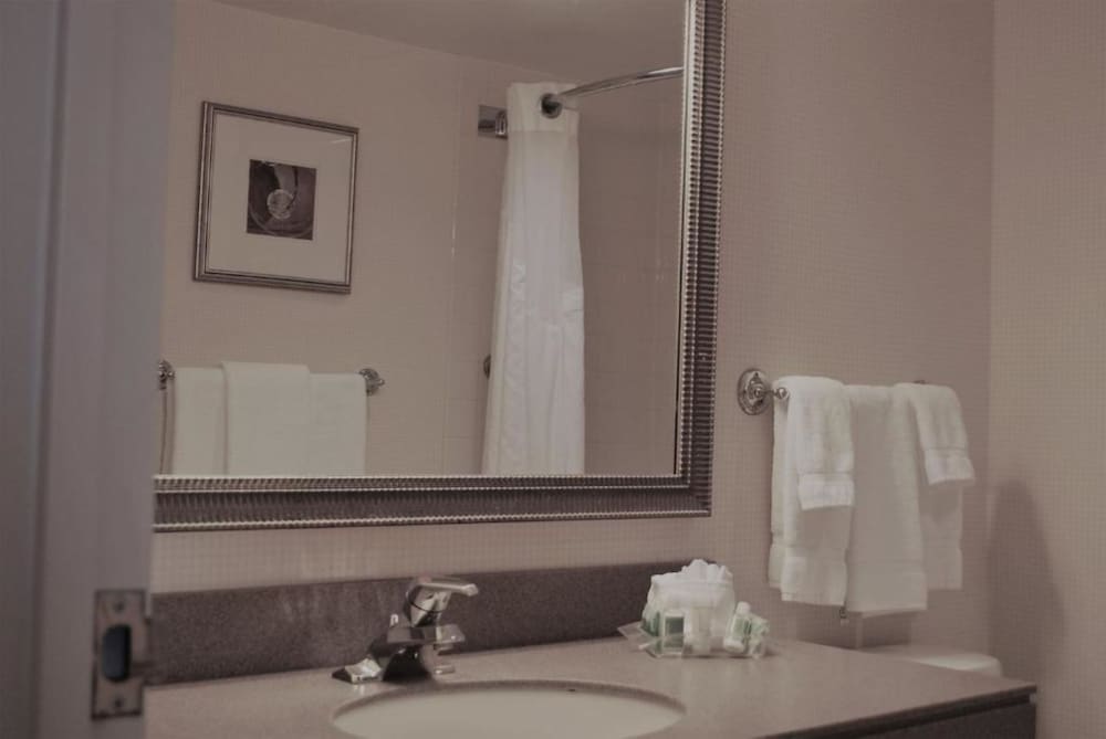 Premium Room, 1 King Bed - Photo 7