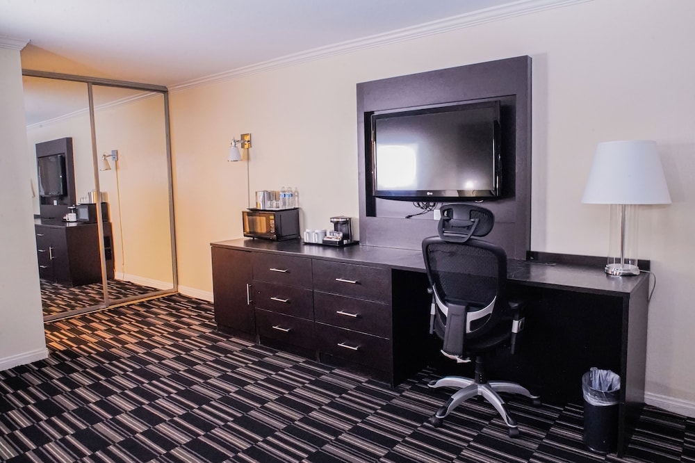 Executive Studio Suite photo 3