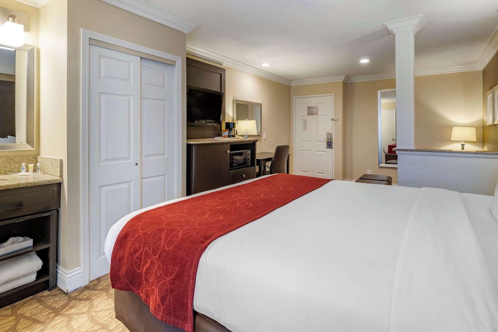 Suite, 1 King Bed with Sofabed, Non Smoking - Photo 4