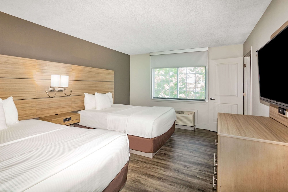 2 Queen Beds, One-Bedroom Suite, Non-Smoking - Photo 1