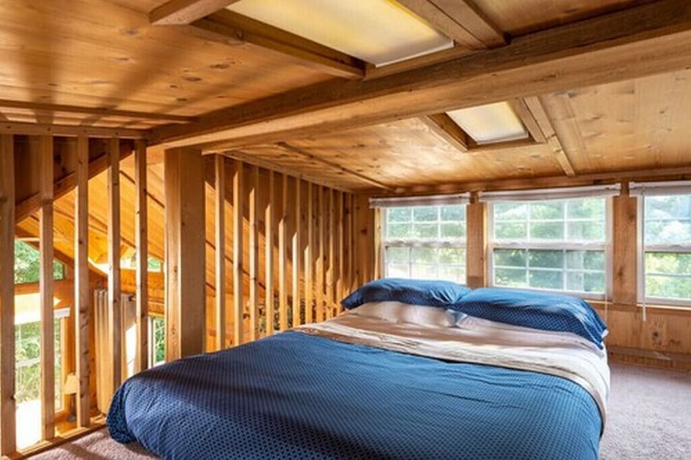 Cabin, Private Bathroom (Balsam Mountains Cabin- No Breakfast, No Pets) photo 1