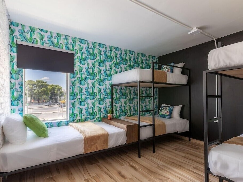 Basic Shared Dormitory photo 1