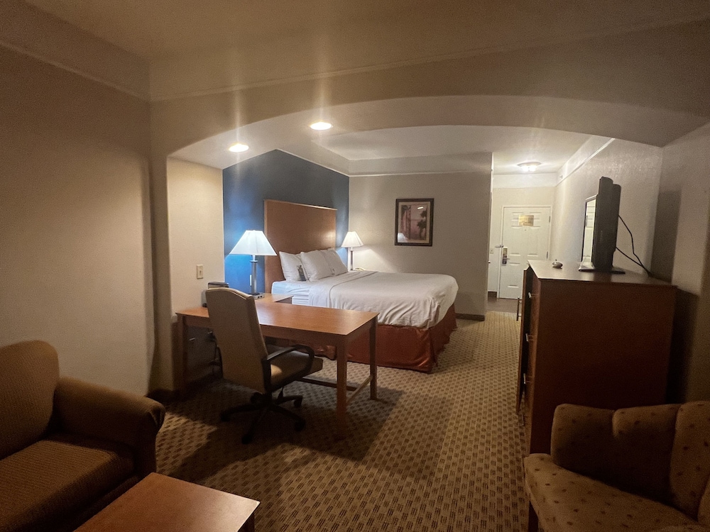 Suite, 1 King Bed, Accessible, Non Smoking (Tub with Grab Bars) - Photo 11