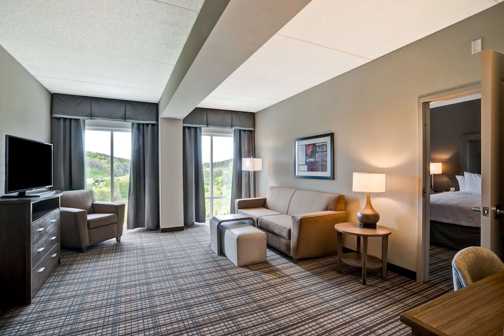 Room, 1 King Bed, Accessible, Non Smoking (3X3 Transfer Shower)