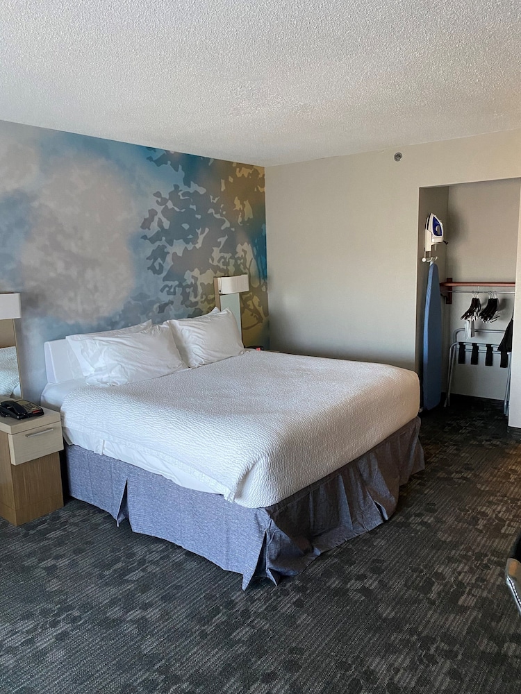Room, 1 King Bed with Sofa bed (Mobility/Hearing Access, Roll-In Shwr)