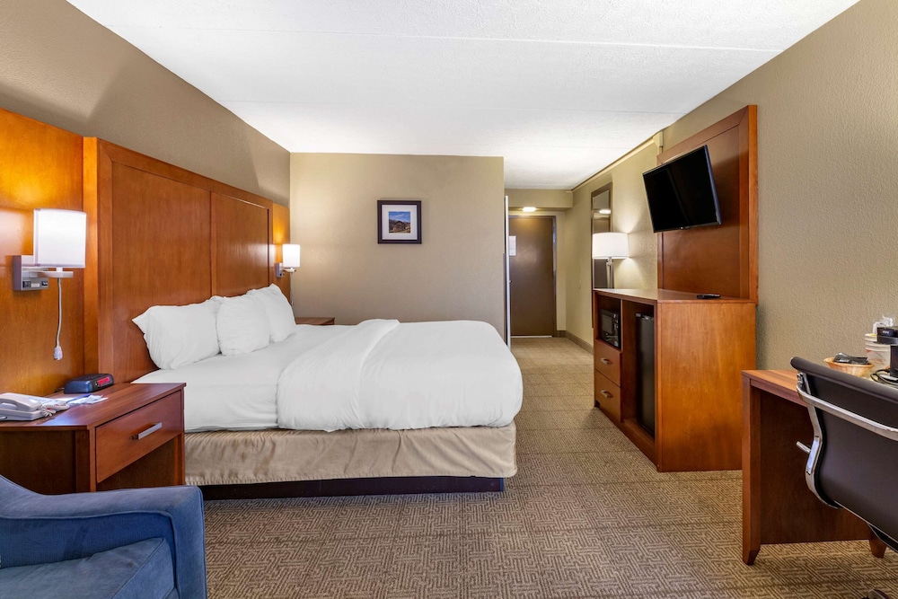 Standard Room, 1 King Bed with Sofa bed, Non Smoking - Photo 8