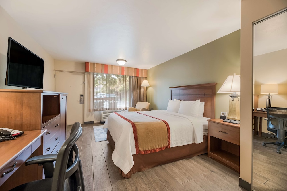 Standard Room, 1 Queen Bed, Accessible, Refrigerator & Microwave photo 2