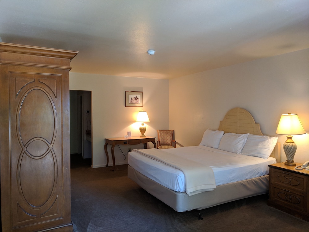 Standard Room, 1 King Bed (Non-Pet Friendly) photo 1