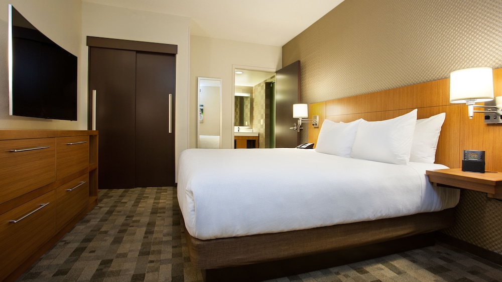 Suite, 1 King Bed photo 1