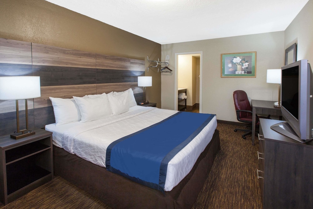 Room, 1 King Bed, Non Smoking - Photo 4