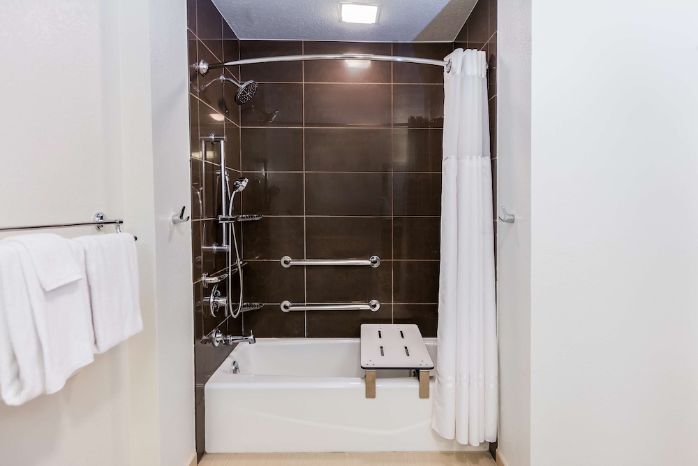 Studio Suite, 1 King Bed, Accessible (Shower) - Photo 3