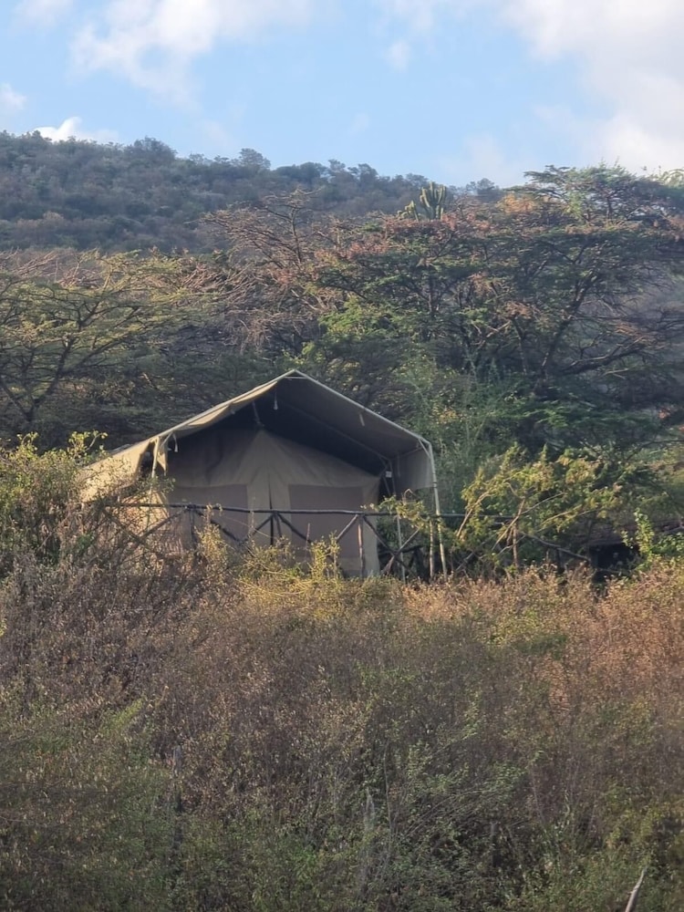 Deluxe Tent, 1 Bedroom, Valley View, Mountainside photo 3