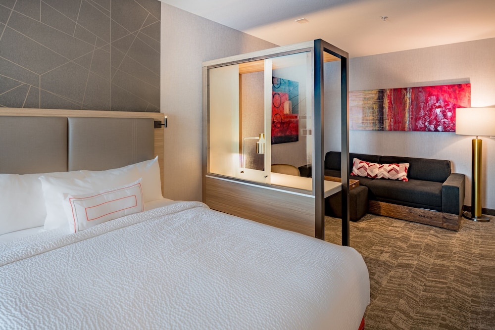 Suite, Multiple Beds (Mobility/Hearing Access, Roll-in Shwr) - Photo 8