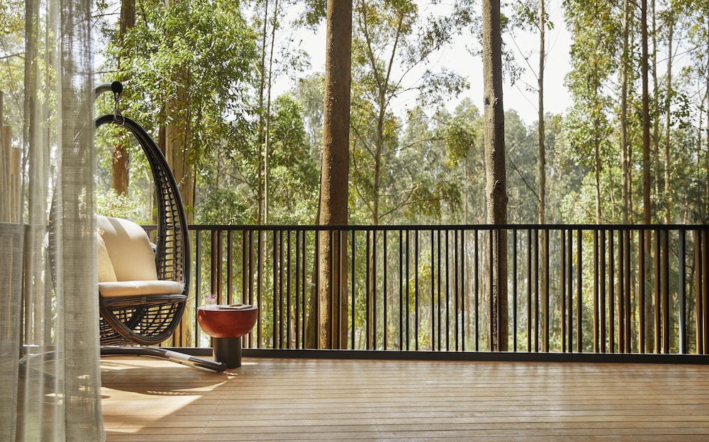 Room (Forest Treehouse)