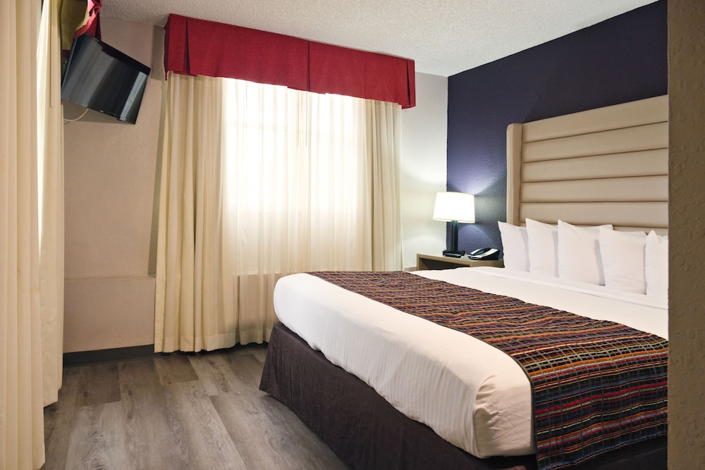 Studio Suite, 1 King Bed