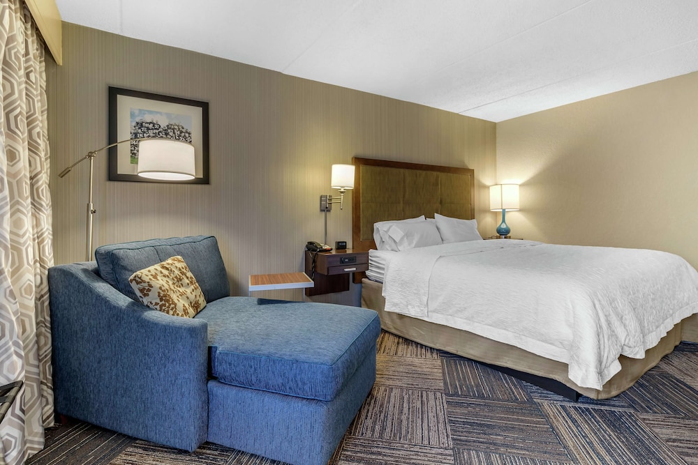 Room, 1 King Bed, Accessible (Hearing) - Photo 3