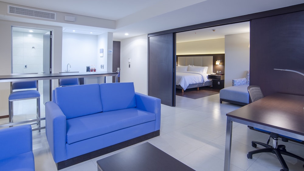 Suite, 1 King Bed