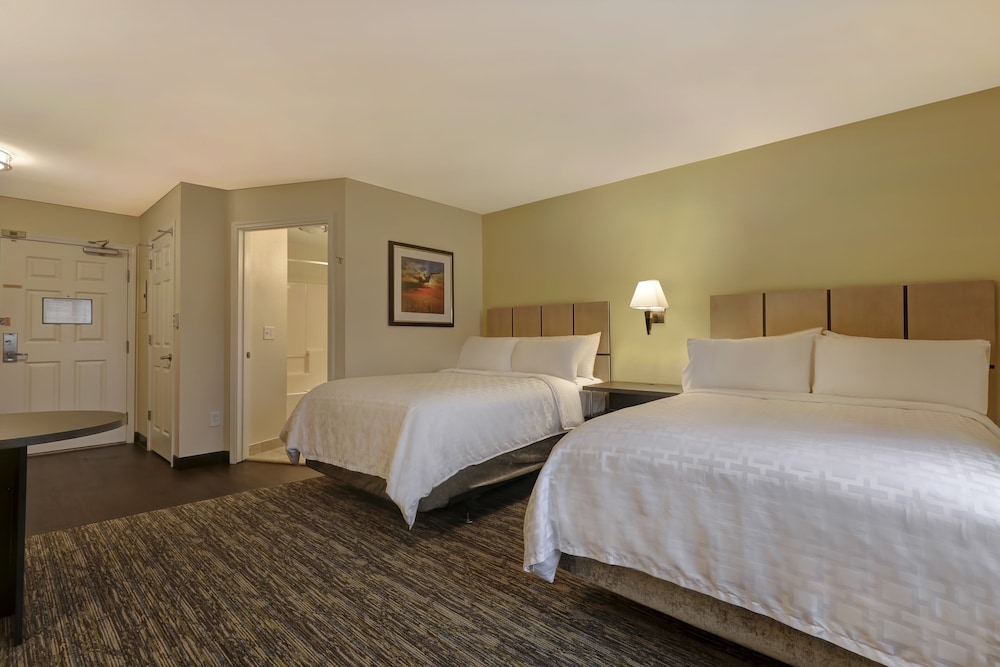 Studio Suite, 2 Double Beds, Accessible (Roll-In Shower) - Photo 1
