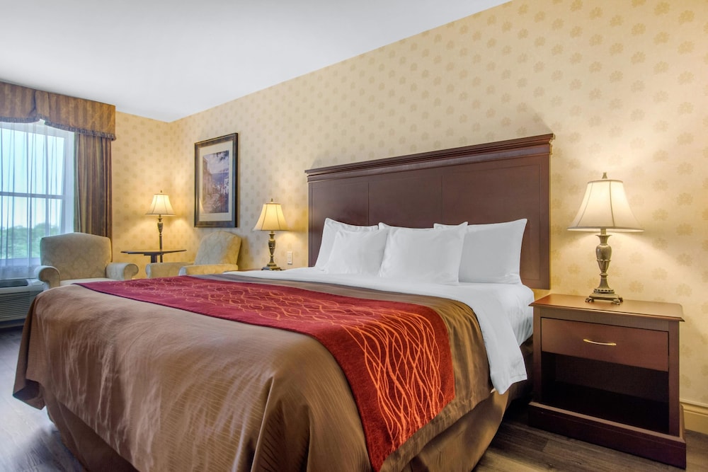 Standard Room, 1 King Bed, Non Smoking - Photo 4