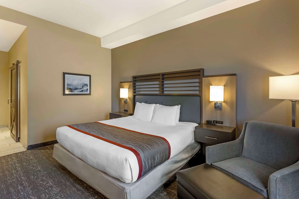 Standard Room, 1 King Bed, Accessible, Non Smoking (Pet Friendly) photo 3