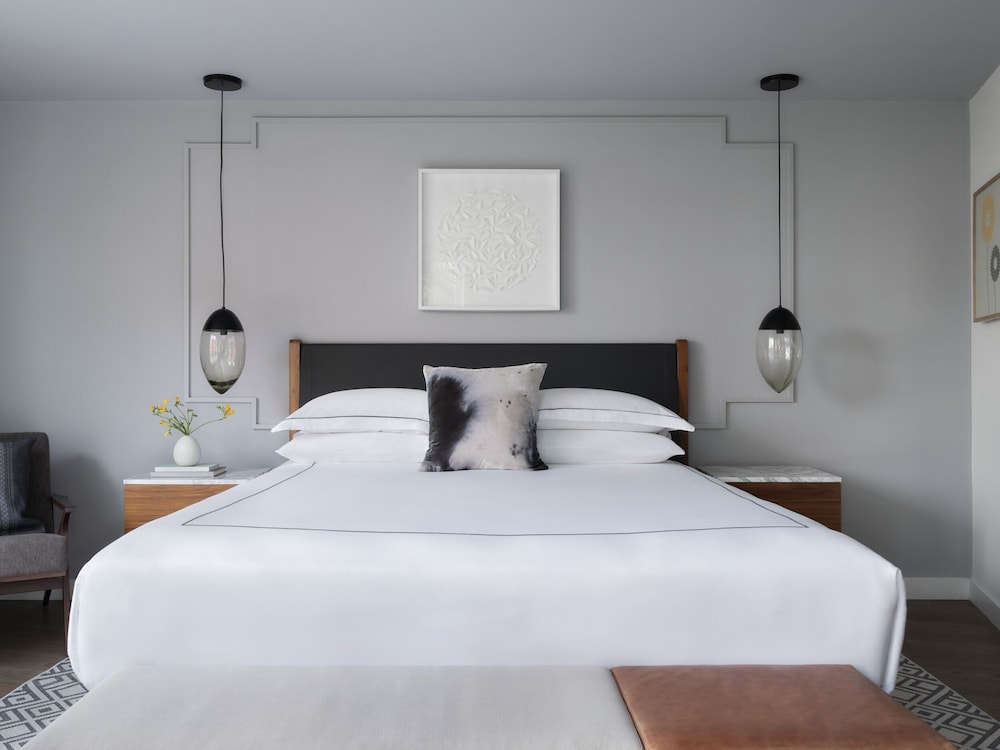 Premium Room, 1 King Bed, Roll-in Shower (Mobility) - Photo 1
