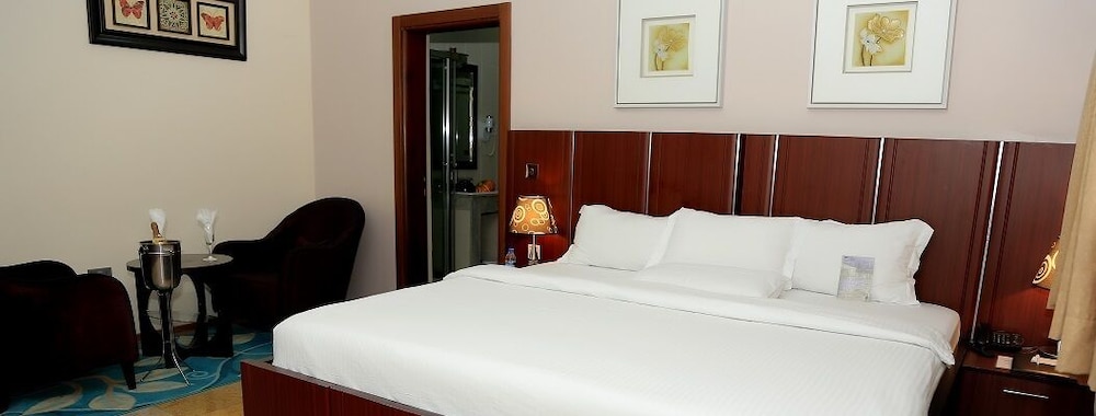 Superior Room, 1 Double Bed, City View photo 2