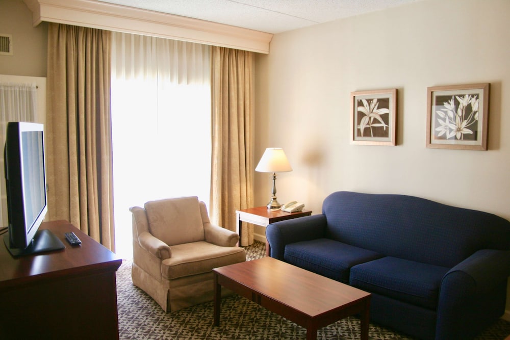 Suite, One King Bed, Accessible - Photo 5
