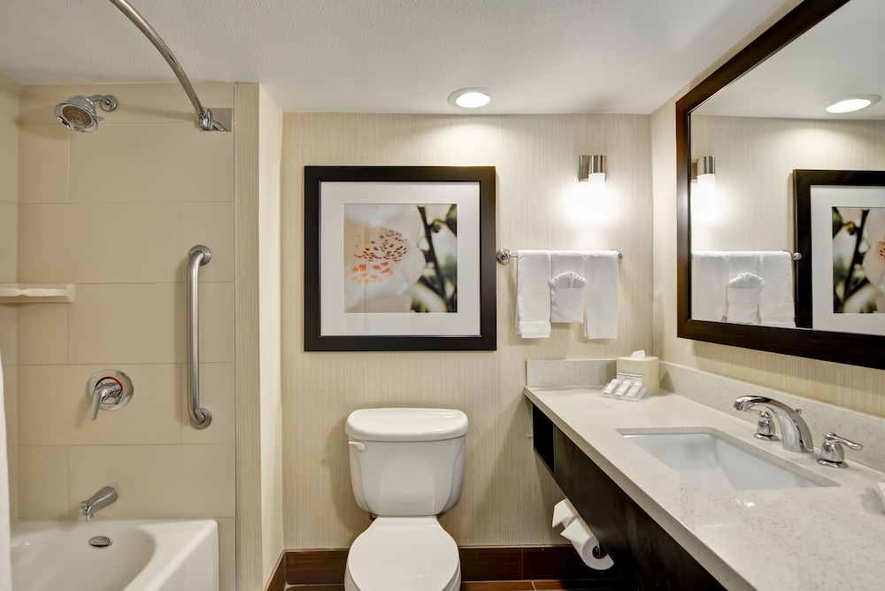 Room, 1 King Bed, Accessible - Photo 2