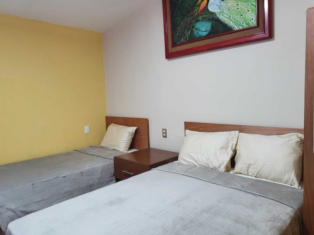 Basic Triple Room photo 1