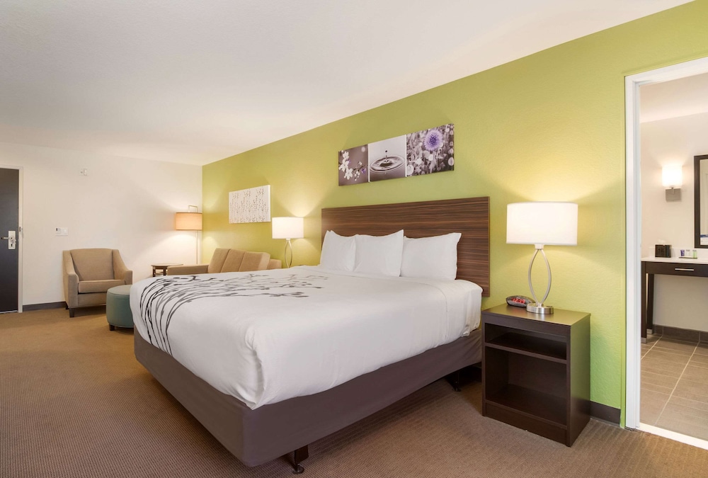 Suite, 1 King Bed, Non Smoking - Photo 1