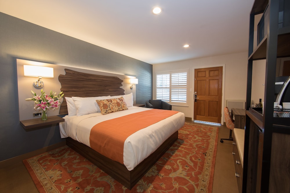 Deluxe Single Room, 1 King Bed, Non Smoking - Photo 2