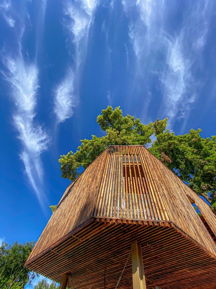 Exclusive Tree House photo 1