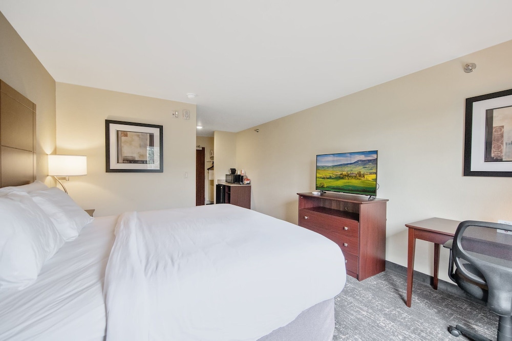 Room, 1 King Bed, Non Smoking, Lake View (with Audible/Visual Alert)