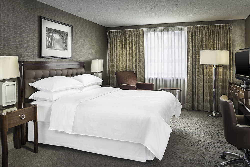 Room, 1 King Bed (Mobility/Hearing Access, Roll-in Shwr) - Photo 3