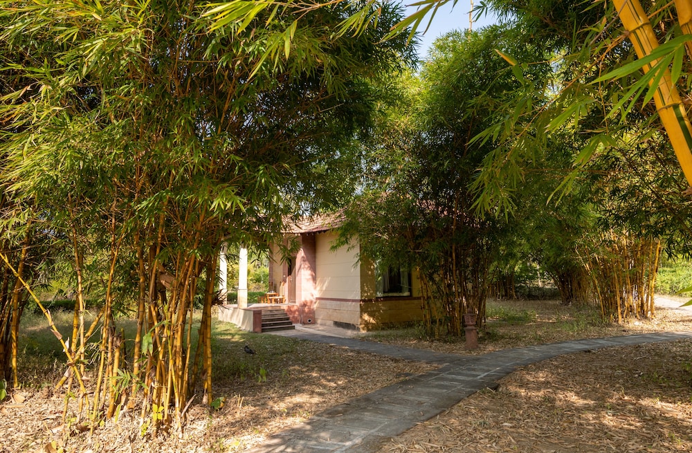 Premium Cottage, 1 King Bed, Pool View photo 3