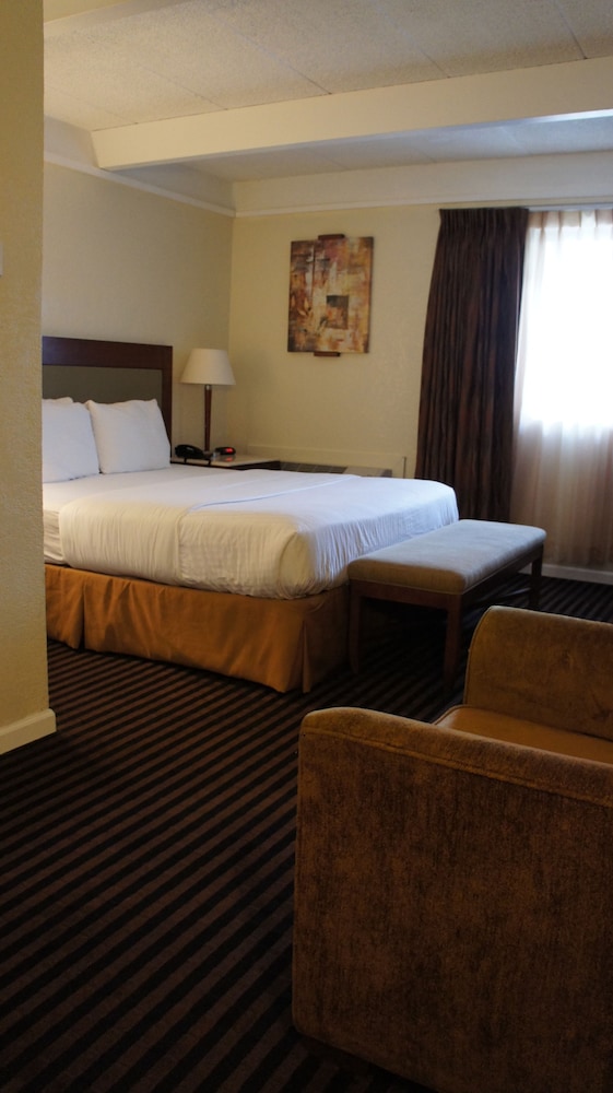 Standard Suite, 1 King Bed, Non Smoking - Photo 1