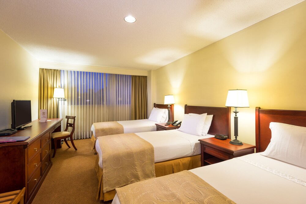 Standard Triple Room - Photo 8