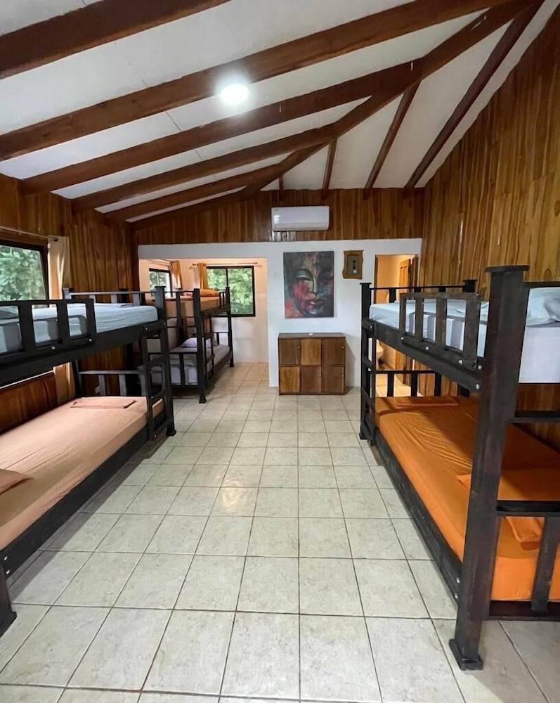 Standard Shared Dormitory photo 1