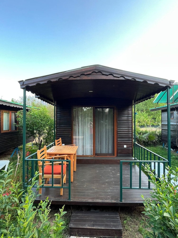 Tree House, 1 Double Bed photo 2
