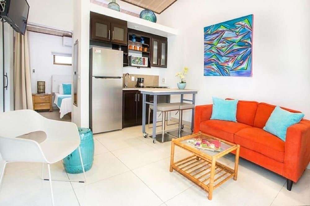Deluxe Apartment, 1 Bedroom, Non Smoking photo 3