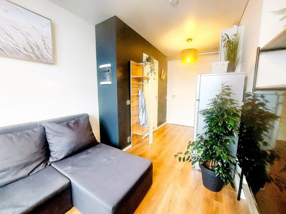 Standard Studio, Multiple Beds, Air conditioning photo 3