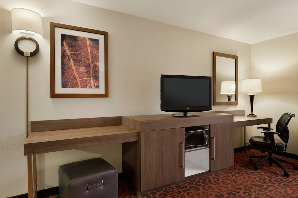 Room, 1 King Bed, Accessible, Non Smoking - Photo 6