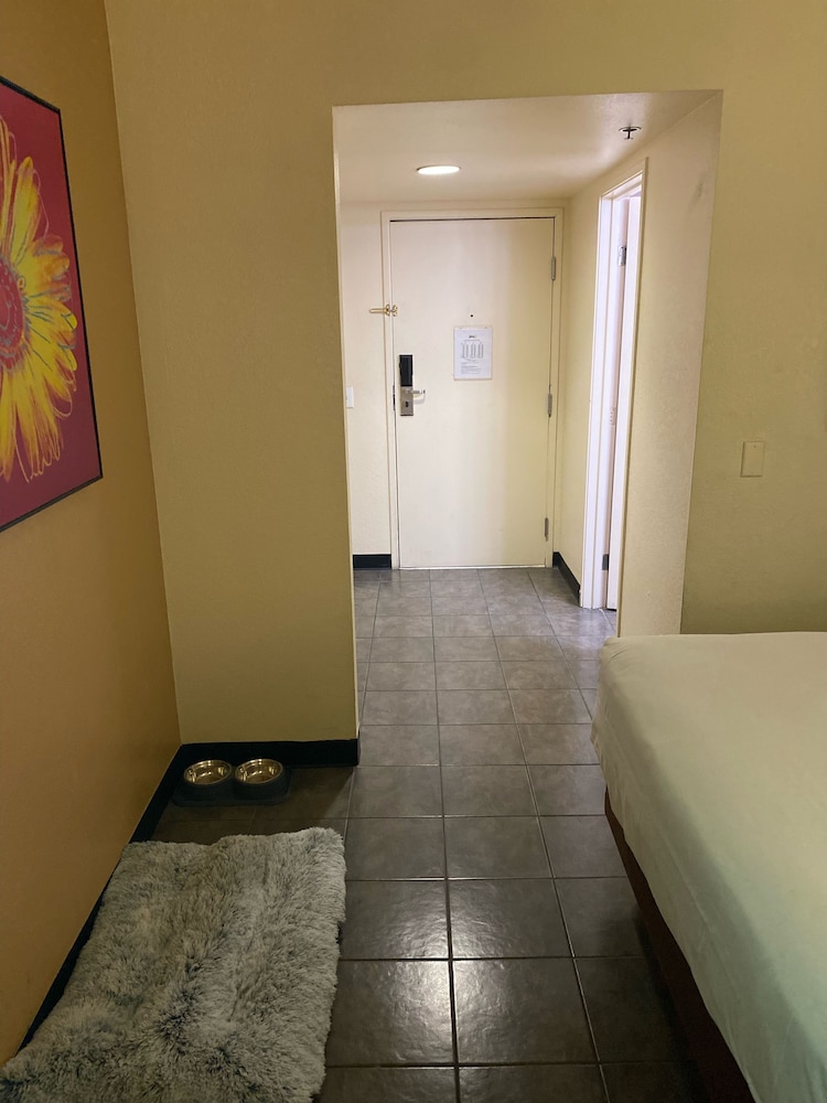 Double Double - Pet Friendly (Non Smoking) - Photo 6