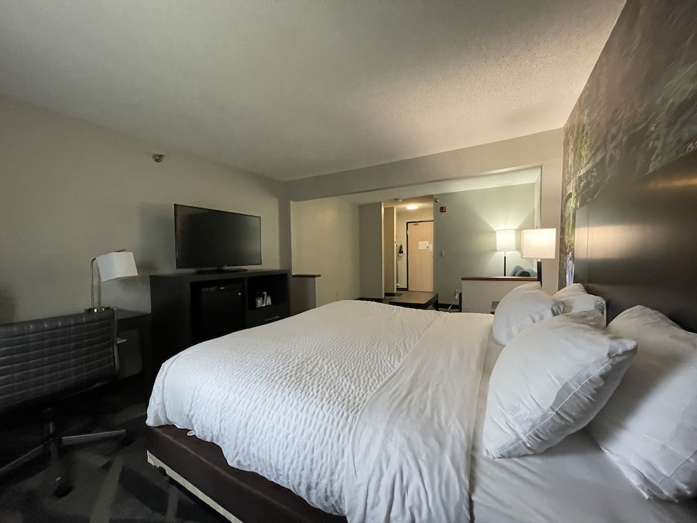Room, 1 King Bed, Accessible, Non Smoking (Efficiency) - Photo 1
