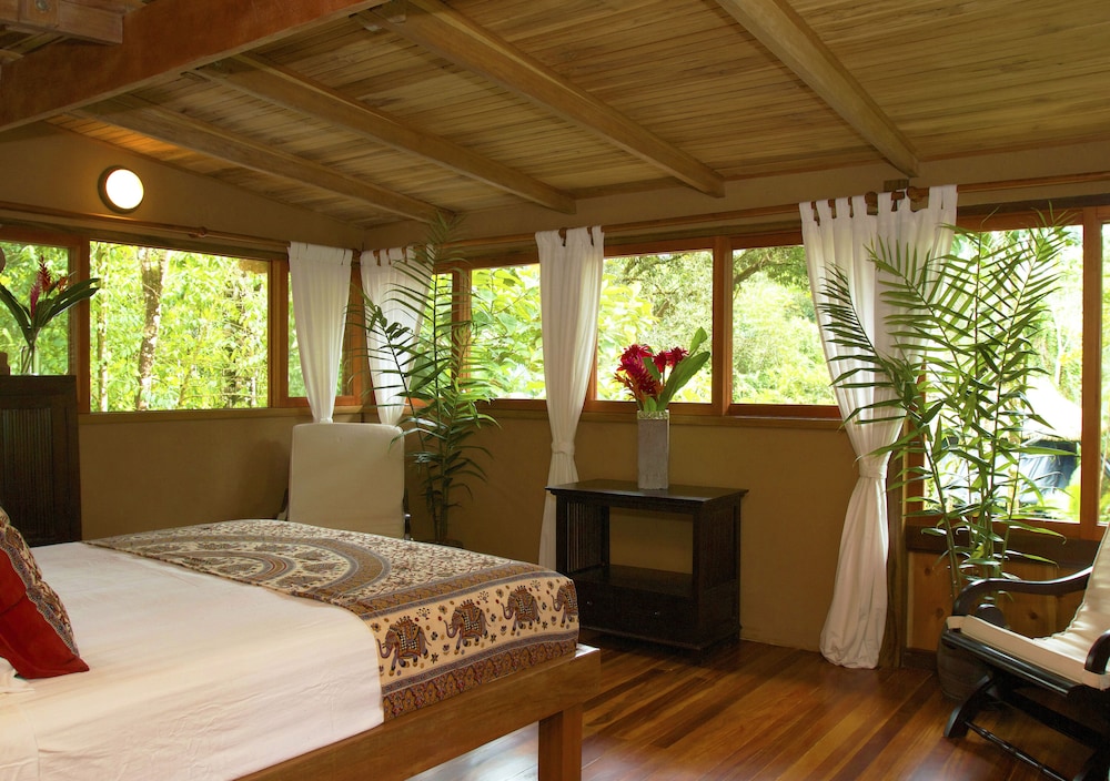 Luxury Studio Suite, 1 Queen Bed photo 2