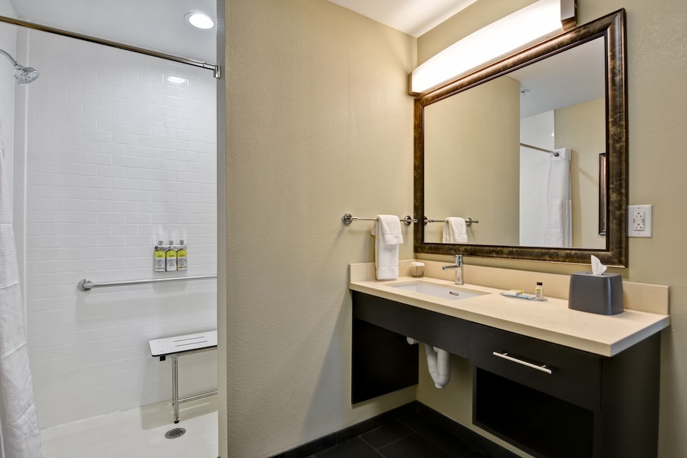 Suite, 1 Queen Bed, Roll-in Shower, Kitchen (Communications, Roll-In Shower)