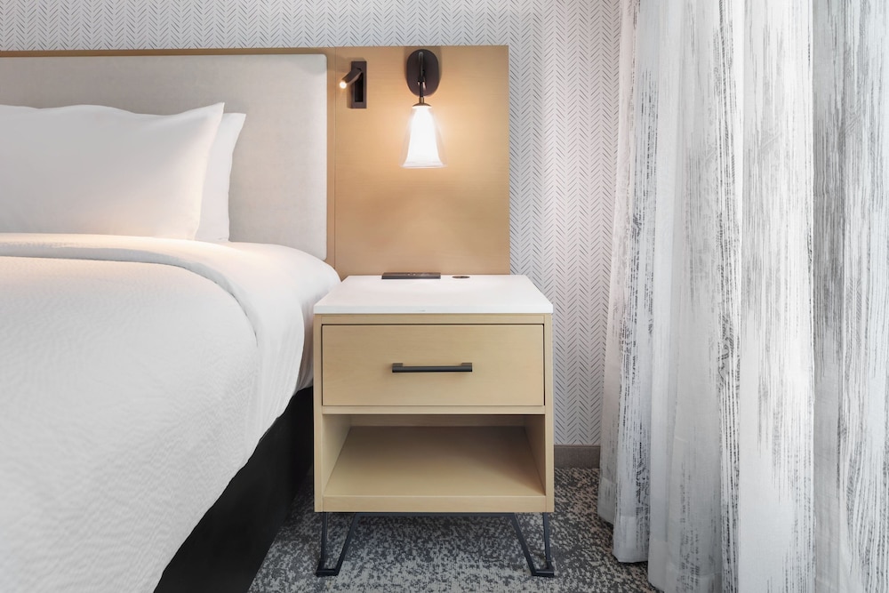Studio, 1 King Bed with Sofa bed (Mobility/Hearing Access, Roll-In Shwr) - Photo 4