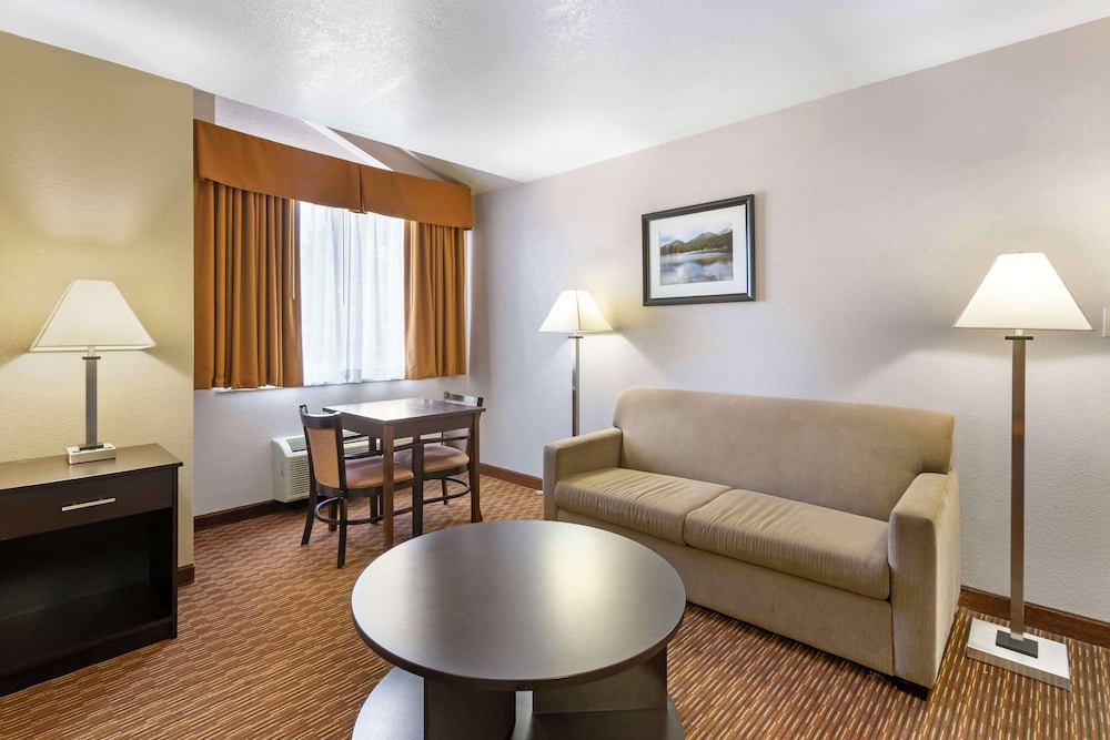 Standard Room, 1 King Bed, Non Smoking, Refrigerator & Microwave (with Sofabed) photo 2
