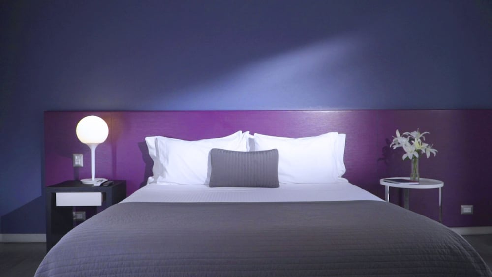 Deluxe Apartment, 1 Queen Bed photo 3