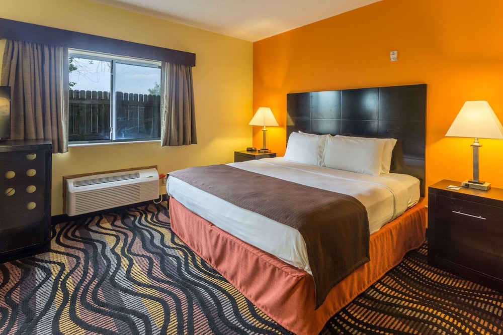 Studio Suite, 1 King Bed, Non Smoking photo 1